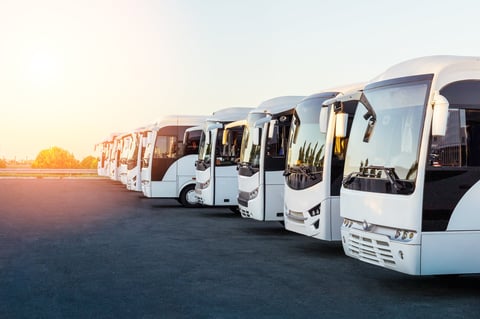 Tourist buses on road