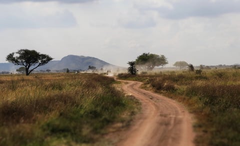 Serengeti safari landscape