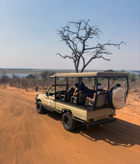 African savanna dirt road