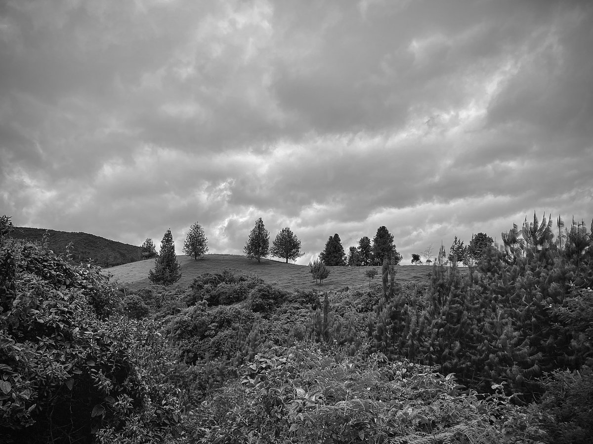 Picture in black and white of a landscape